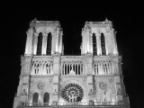 Notre Dame - Paris