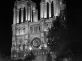 Notre Dame - Paris