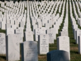 Arlington National Cemetary