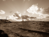 DSC 5349